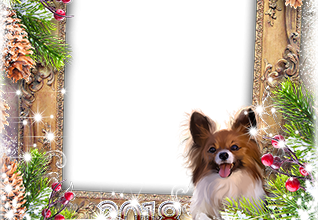 Calendar2018 Lights and a dog photo frame