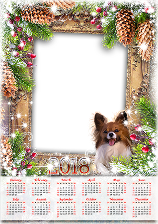 Calendar2018 Lights and a dog photo frame - Calendar2018 Lights and a dog photo frame