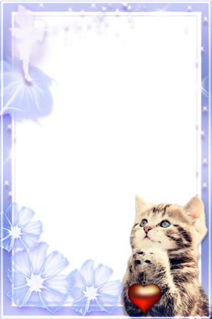 Cute Romantic Kitten photo frame - Cute Romantic Kitten photo frame