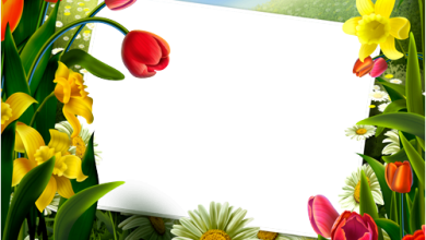 Flowers Frame photo frame