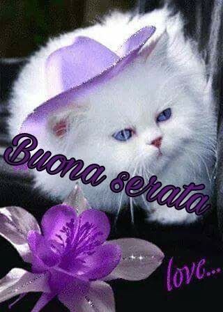 Frasi Buonasera Amici Immagini
