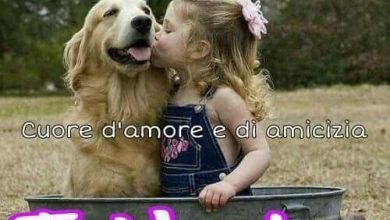 Frasi Tvb Amore Immagini