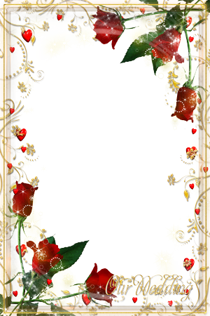 Gold shine of christmas holiday photo frame - Gold shine of christmas holiday photo frame