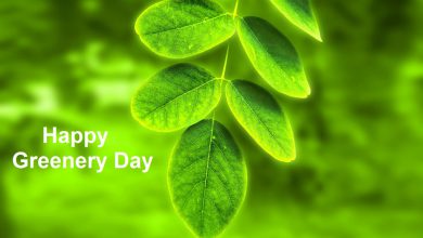 Happy Greenery Day