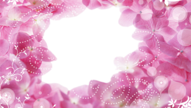Hole In Pink Flowers photo frame