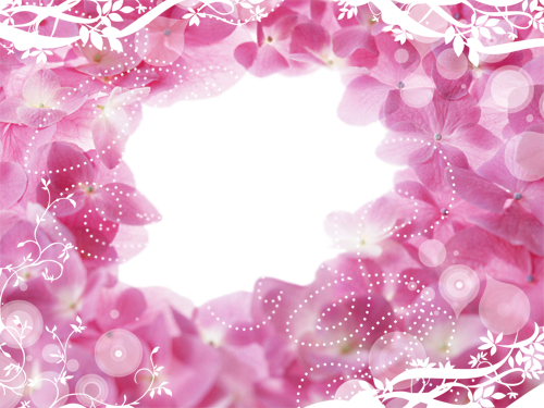 Hole In Pink Flowers photo frame - Hole In Pink Flowers photo frame