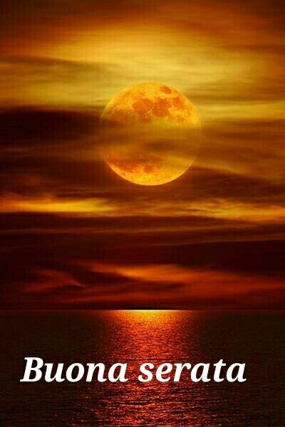 Immagini Buonanotte Con Cani Immagini