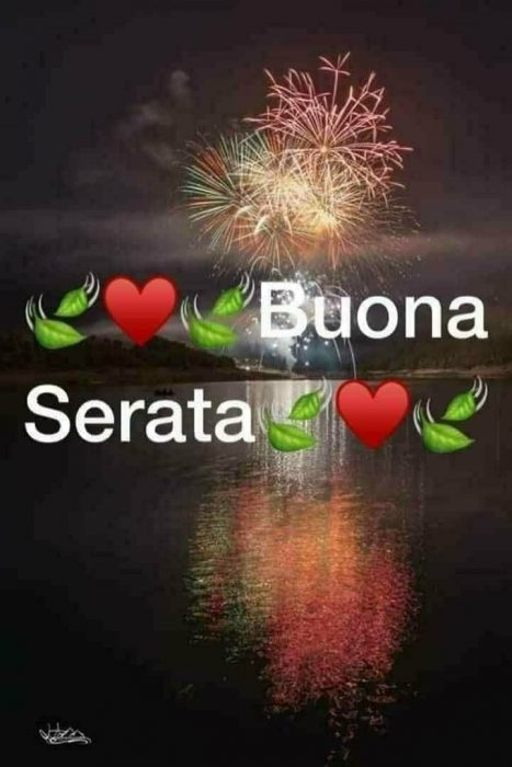 Immagini Di Buonanotte Con Fiori Immagini
