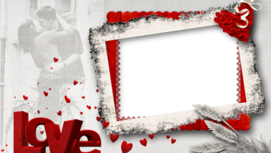 Madness Of Red Love photo frame