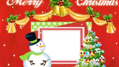 Merry Christmas and Happy New Year photo frame