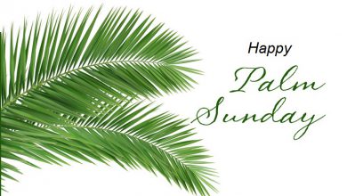 Palm Sunday wishes