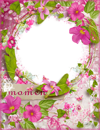 momenti fotogramma
