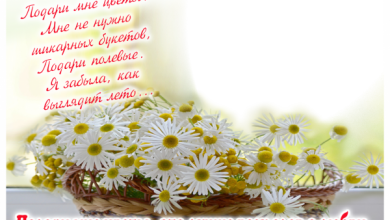 онлайн romashkam цветы с Подари мне