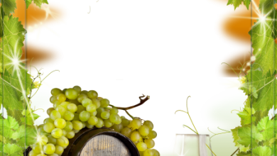 онлайн виноград вино