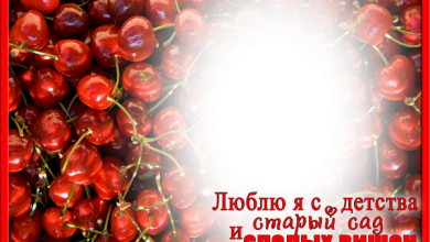 онлайн вишни слова