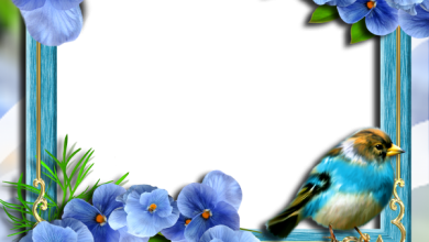 онлайн голубые цветы птица надпис чудо
