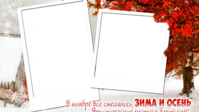онлайн два фото красные листья и белый снег 390x220 - фоторамка онлайн два фото красные листья и белый снег