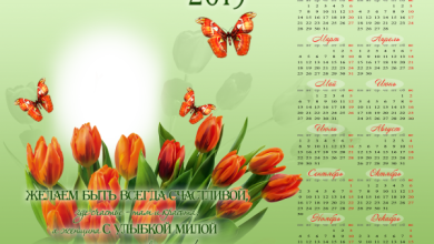 онлайн женский календарь с pozhelaniem