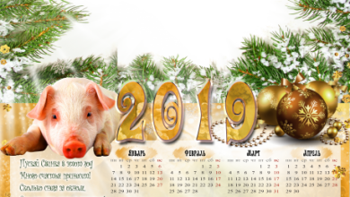 онлайн календар так свиной и пожеланиями