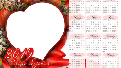онлайн календар тюльпаны и пожелания