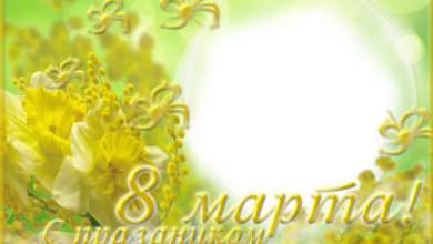 онлайн марта нарцисс Мимоза