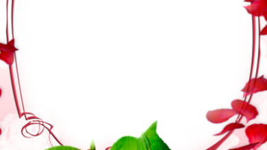 онлайн поздравительная открытка с розами