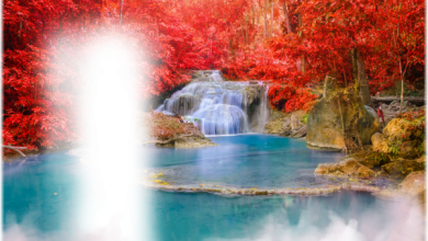 онлайн природа водопад осень