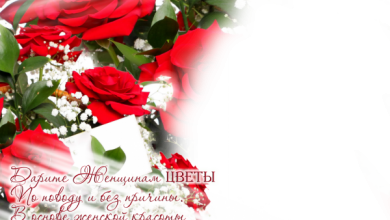 онлайн розы стихи женщинам 390x220 - фоторамка онлайн розы стихи женщинам