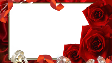 онлайн свадьба розы
