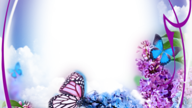 онлайн сирена бабочка весна крылья