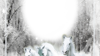 онлайн три белых Конья