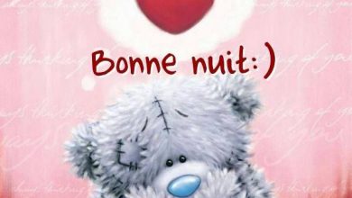 Bisous Bonne Nuit Bonne Nuit Image