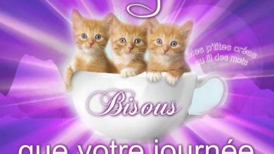 Bonjour Du Matin Bonjour Image