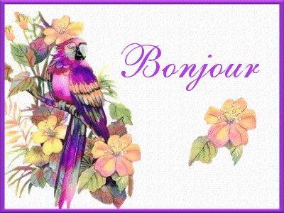 Bonjour Site Bonjour Image