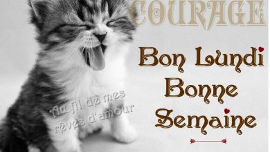 Bonjour Toutes Les Langues Bonjour Image