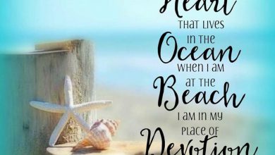 Enjoying The Last Days Of Summer Quotes image 390x220 - Having fun with The Final Days Of Summer season Quotes picture