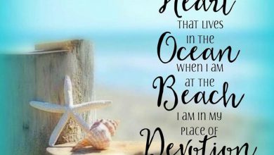 Enjoying The Last Days Of Summer Quotes image