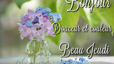 Fond Ecran Citation Bonjour Image