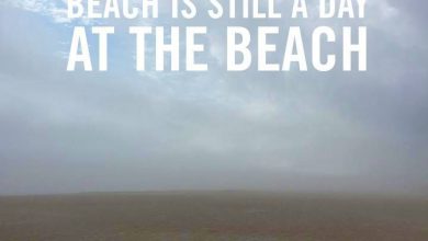 Funny Summer Holiday Quotes image 390x220 - Humorous Summer time Vacation Quotes picture