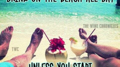 I Miss Summer Quotes image 390x220 - I Miss Summer time Quotes picture
