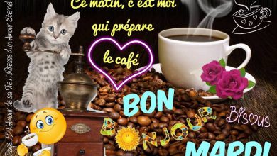 Il A Pas Dit Bonjour Bonjour Image