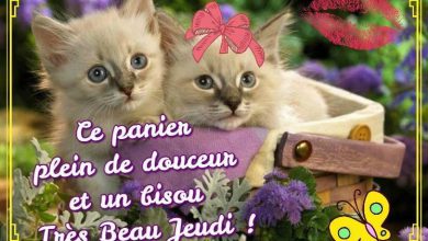 Image Bisous Du Matin Bonjour Image