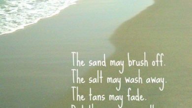 Late Summer Quotes image 390x220 - Late Summer season Quotes picture