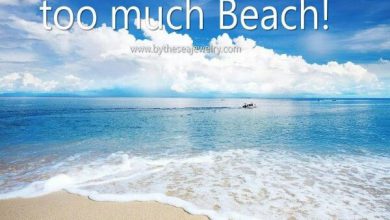 Lazy Days Of Summer Quotes image 390x220 - Lazy Days Of Summer season Quotes picture
