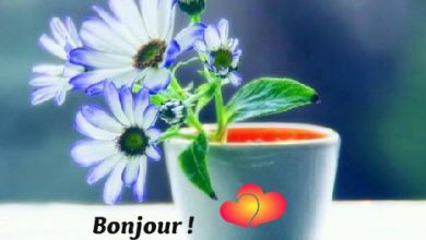 Le Neuf Bonjour Image