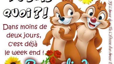 Matin Brun Bonjour Image