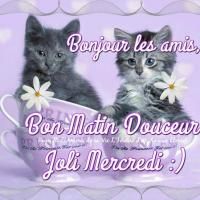 Matin Concours Bonjour Image