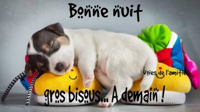 Message Bonne Nuit Amitié Bonne Nuit Image