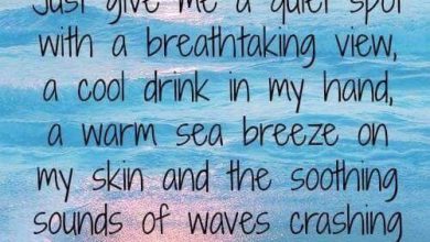 Summer Begins Quotes image 390x220 - Summer time Begins Quotes picture