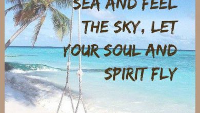 Summer Hair Quotes image 390x220 - Summer time Hair Quotes picture